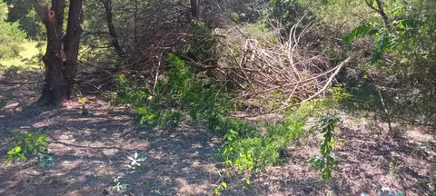 Twb County 3114 Road Nw, Purdon, TX 76679