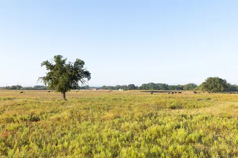 tbd Brushy Rd #TRACT 1 & 2, Granbury, TX 76048