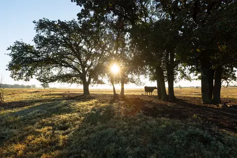 tbd Brushy Rd #TRACT 2 & 3, Granbury, TX 76048