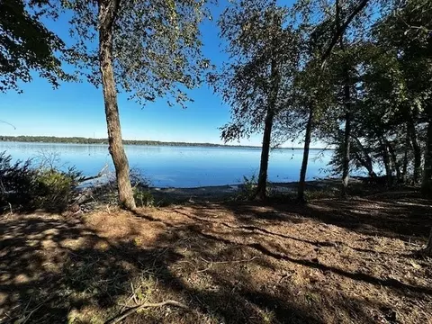 3142 Shadow Pine Drive, Larue, TX 75770