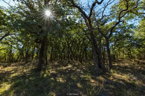 tbd Pecan Valley Dr, Gustine, TX 76455 photo 8
