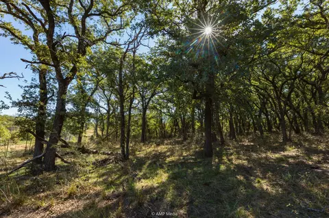 tbd Pecan Valley Dr, Gustine, TX 76455 photo 7
