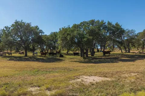tbd Pecan Valley Dr, Gustine, TX 76455 photo 17