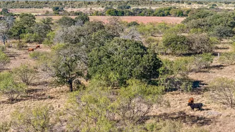tbd Berry Dairy Rd, Bryson, TX 76427