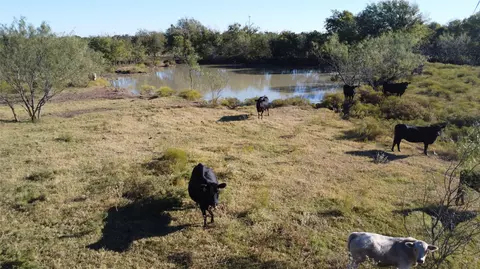 0000 County Road 3363, Mount Calm, TX 76673
