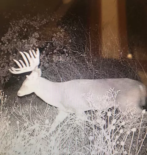 tbd Cr 434, Cross Plains, TX 76443