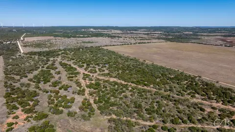 tbd Lot 6 Cr 207, Ovalo, TX 79541