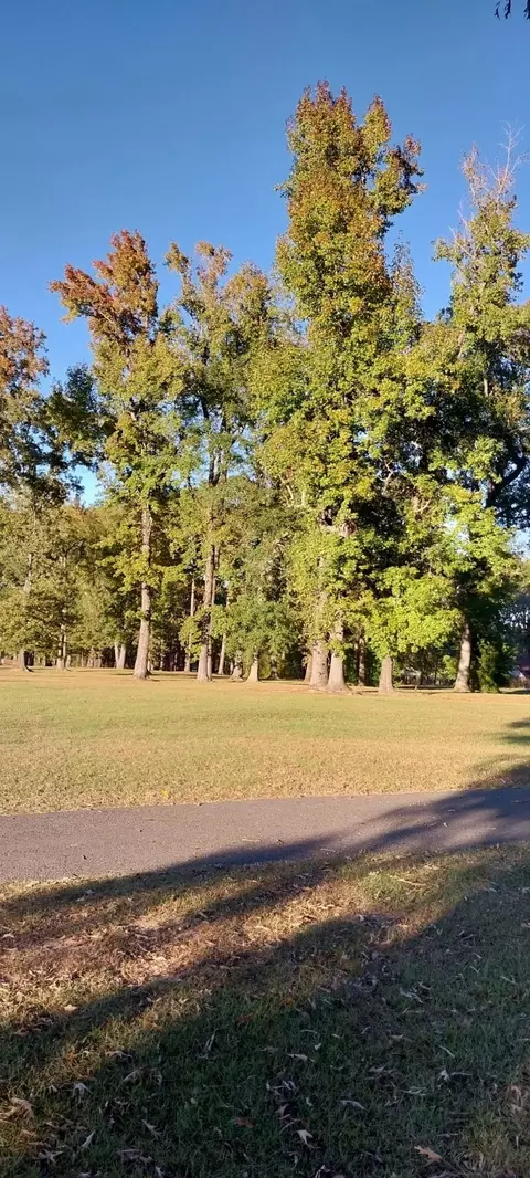 3113 Hwy 171, Stonewall, LA 71078