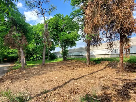 1716 Goyens Dr, Dallas, TX 75224