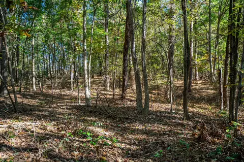 000 County Road 4105, Daingerfield, TX 75638