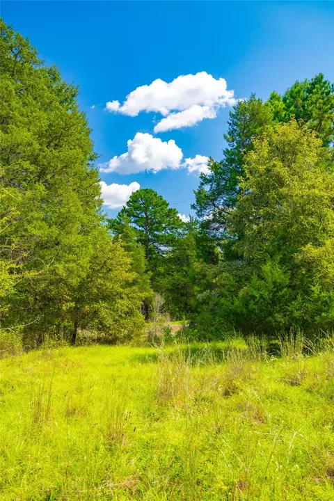 14799 Fm 315, Palestine, TX 75803