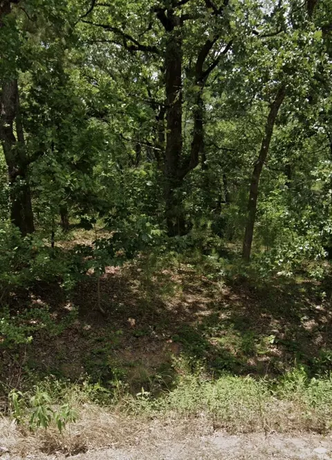 5343 Sam Bass, Log Cabin, TX 75074