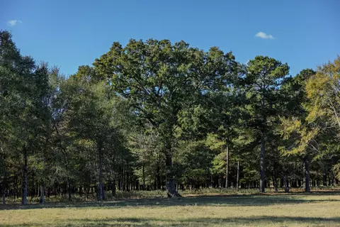 401 Leather Shop Rd, Karnack, TX 75661 photo 40