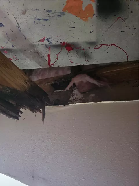 Other - 55 Birch St, Trinity, TX 75862 photo 2 of 10