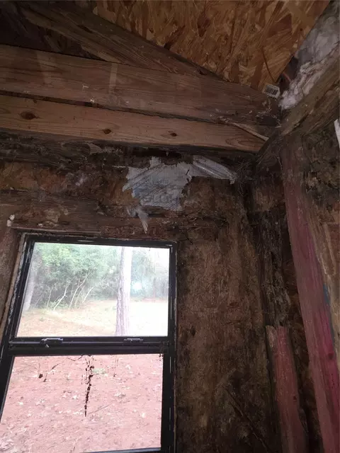 Other - 55 Birch St, Trinity, TX 75862 photo 4 of 10