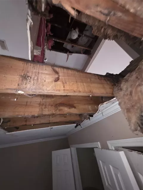 Entry Way - 55 Birch St, Trinity, TX 75862 photo 7 of 7
