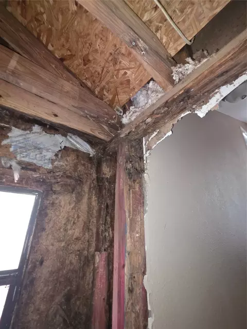 Other - 55 Birch St, Trinity, TX 75862 photo 3 of 10