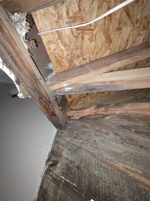 Other - 55 Birch St, Trinity, TX 75862 photo 6 of 10