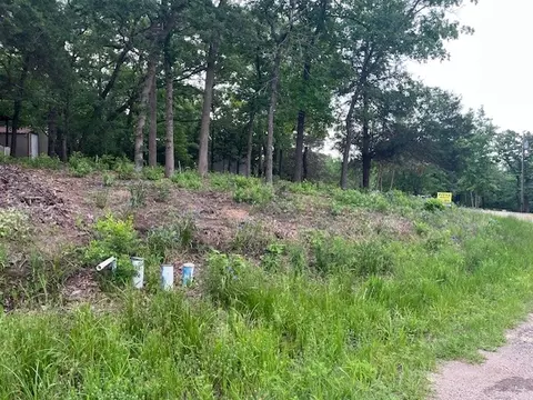 tbd E Walnut Trl, Murchison, TX 75778 photo 4