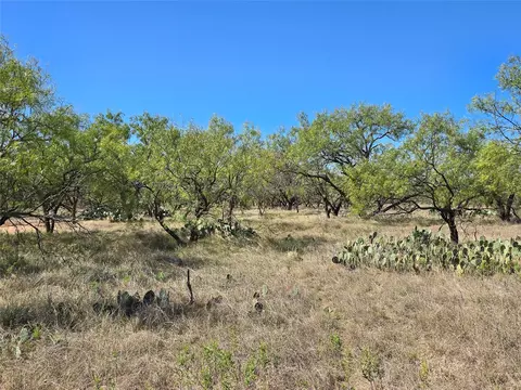 8447 County Road 210, Clyde, TX 79510