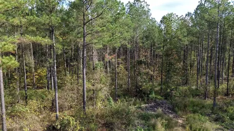 0 Harper Bottom Rd, Ruston, LA 71270 photo 14