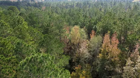 0 Harper Bottom Rd, Ruston, LA 71270 photo 6