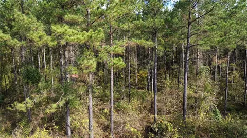 0 Harper Bottom Rd, Ruston, LA 71270 photo 13