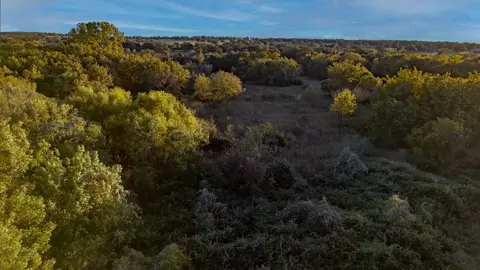 tbd E Hackley, Perrin, TX 76486 photo 16