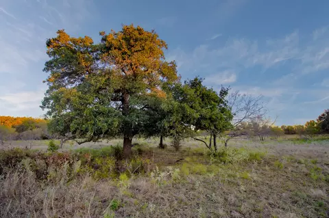 tbd E Hackley, Perrin, TX 76486 photo 25