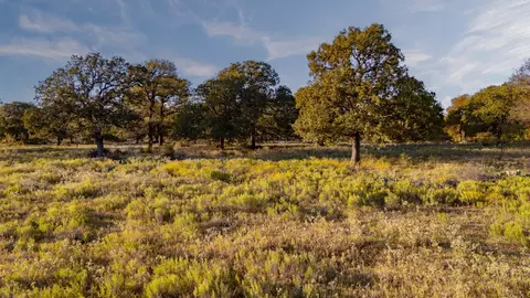 tbd E Hackley, Perrin, TX 76486 photo 2