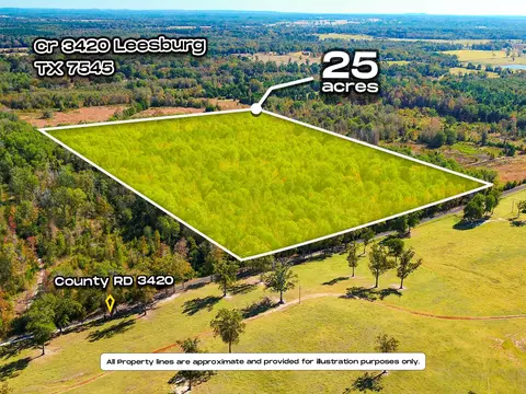 tbd County Road 3420, Leesburg, TX 75451