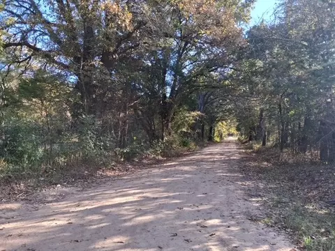 1071 County Road 2205, Ivanhoe, TX 75447 photo 8