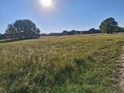 1071 County Road 2205, Ivanhoe, TX 75447