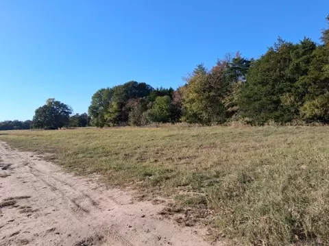1071 County Road 2205, Ivanhoe, TX 75447 photo 4