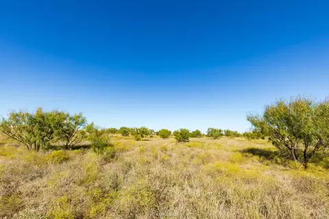 tbd Ferris Rd, Tye, TX 79536 photo 3