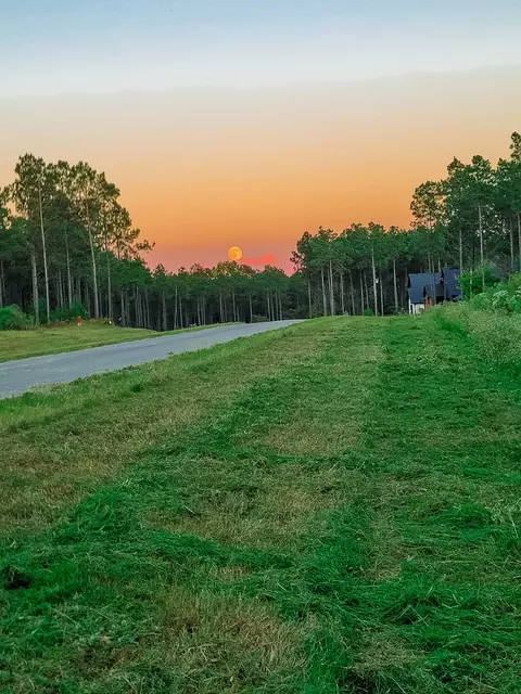 232 Millwood Loop #36, Minden, LA 71055 photo 2