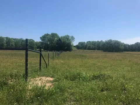Undisclosed, Naples, TX 75568