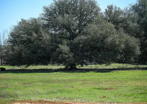 822 Main Loop Loop, Waelder, TX 78959 photo 5
