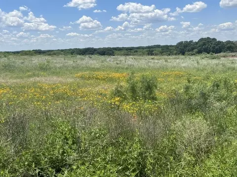 tbd Cr 333, Blanket, TX 76432