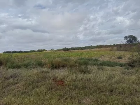 tbd Fm 57 160 Acres, Roby, TX 79543