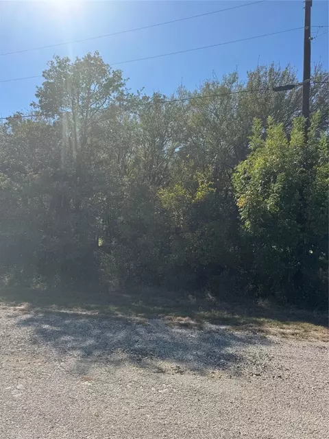 31008 Doe Run Ct, Whitney, TX 76692
