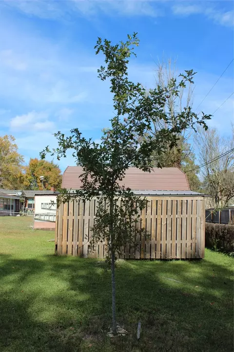 802 Cline St, Minden, LA 71055 photo 34