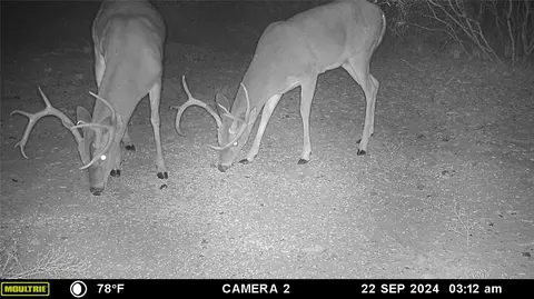 12750 Cr 129, Brownwood, TX 76801