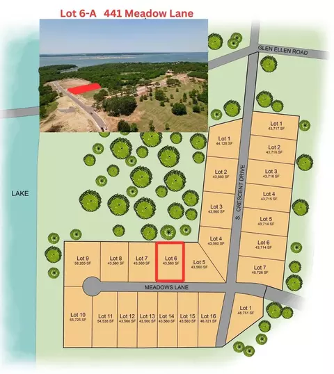 441 Meadow Ln, Pottsboro, TX 75076