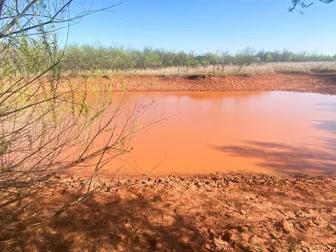 tbd 80 Acres Cr 150, Tuscola, TX 79562