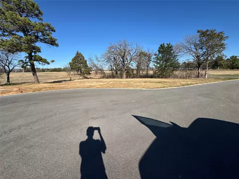 125 Lakelands Ct, Gordonville, TX 76245