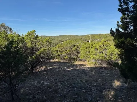 1406 Canyon Trce, Canyon Lake, TX 78133