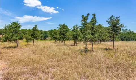 271 Creek Meadow Ct, Lipan, TX 76462