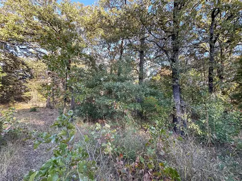 134 Thrush Rd, Mabank, TX 75156 photo 9