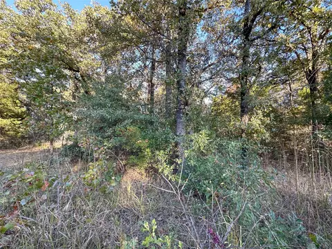 134 Thrush Rd, Mabank, TX 75156 photo 10